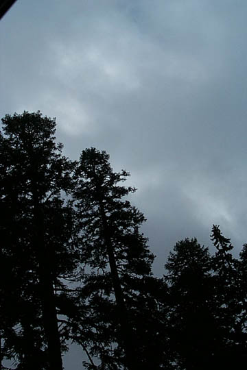 P0006089
