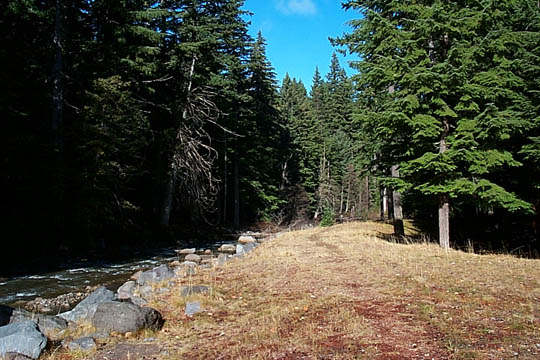 P0006100