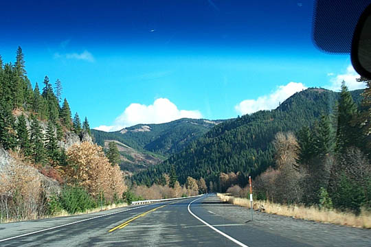 P0006110