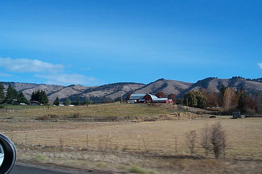 P0006117