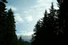 P0006020