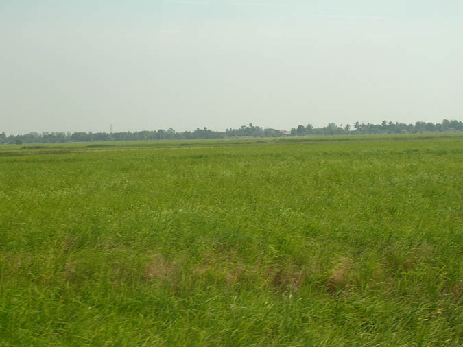 DSCN0635