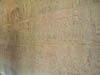 DSCN0951