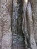 DSCN1224