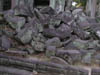 DSCN1226