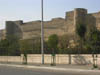 DSCN0723