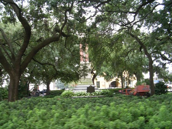 dscn3072.jpg