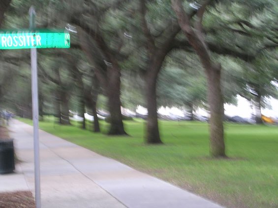dscn3136.jpg