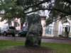 dscn3140_small.jpg