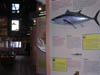 DSCN0926