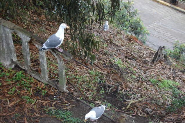 dsc_0044.jpg