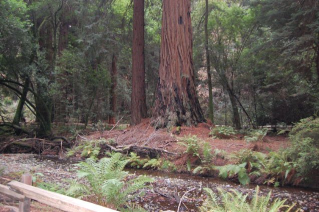dsc_0282.jpg