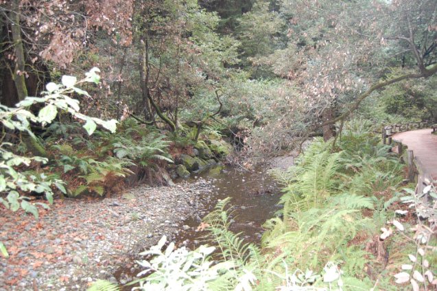 dsc_0286.jpg