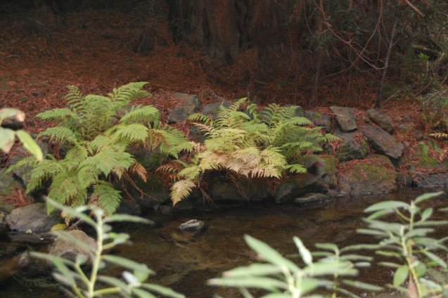 dsc_0300.jpg