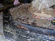 DSCN0067_edited-1