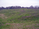 DSCN0310_edited-1