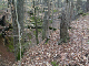 DSCN0322_edited-1
