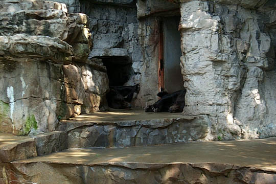 P0001987