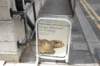 dsc_0057_small.jpg