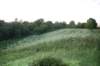 dsc_0032_small.jpg