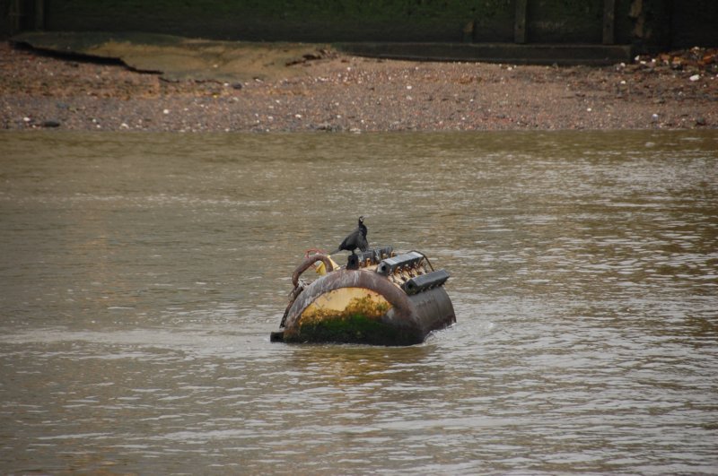 dsc_0017.jpg