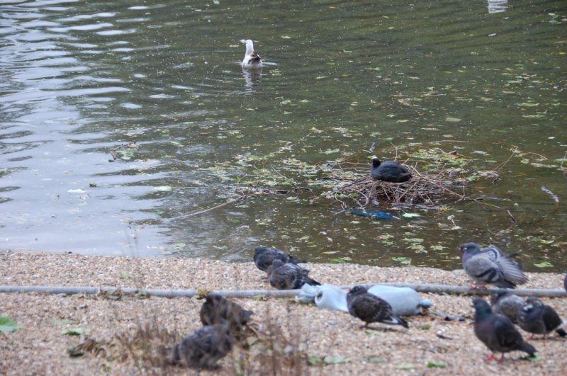 dsc_0098.jpg