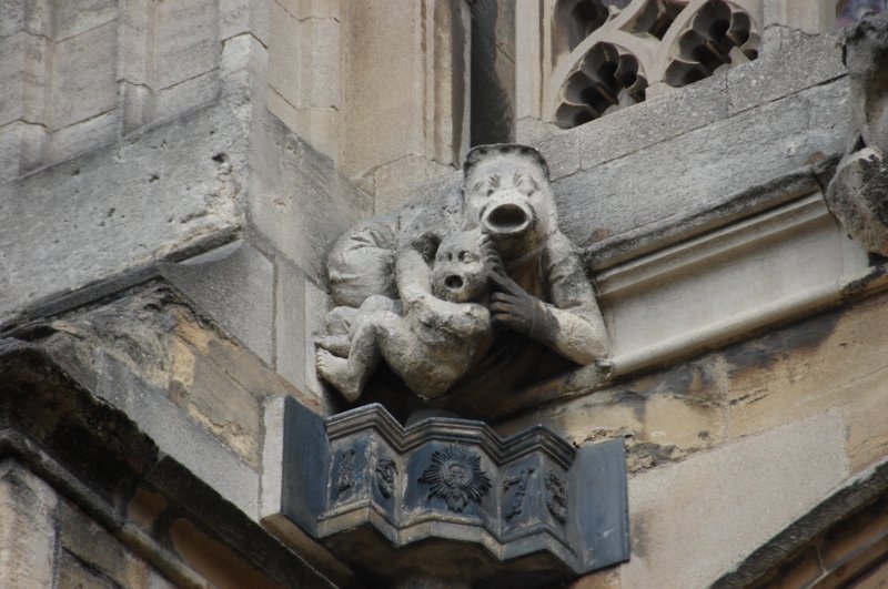 dsc_0043.jpg