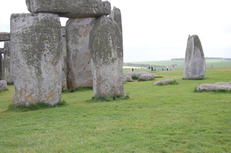 dsc_0096.jpg