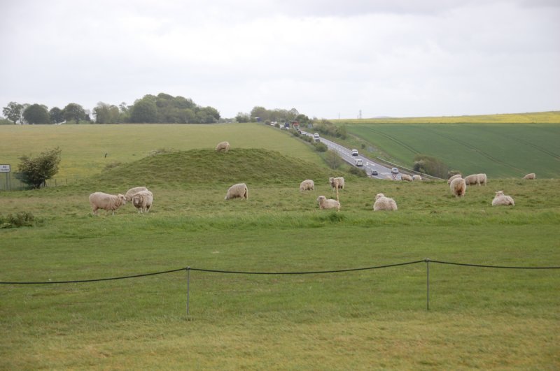 dsc_0113.jpg