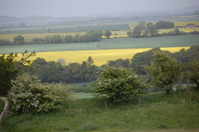 dsc_0134.jpg