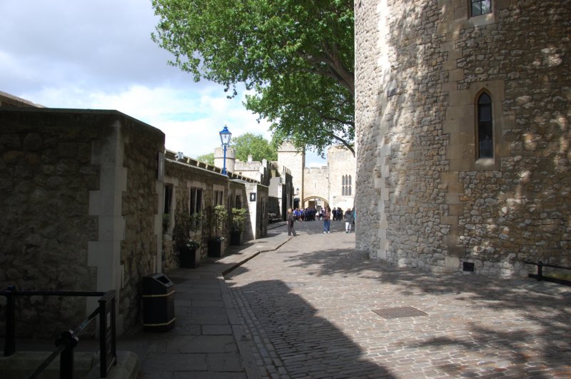 dsc_0010.jpg