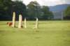 dsc_0035_small.jpg
