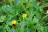 dsc_0043_small.jpg