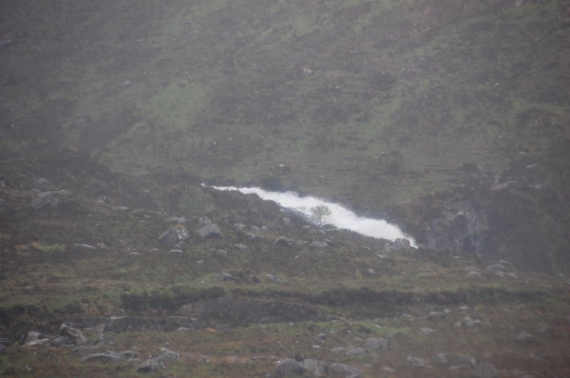 dsc_0169.jpg