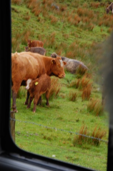 dsc_0194.jpg