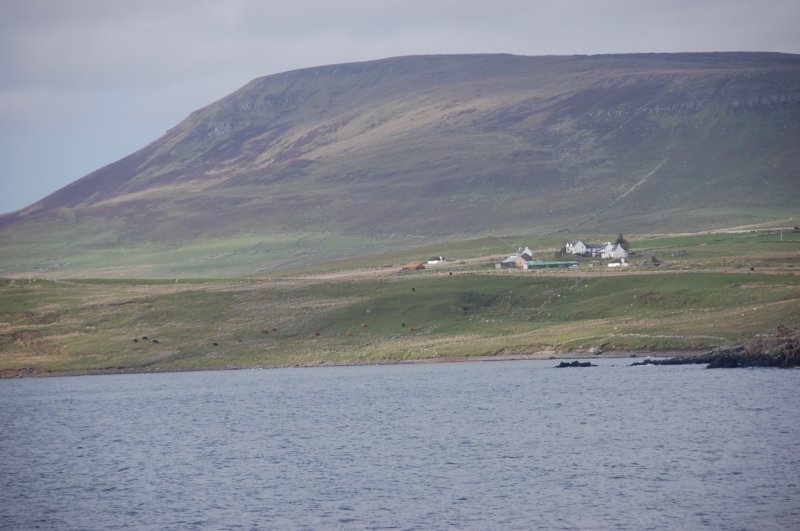 dsc_0226.jpg