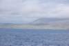 dsc_0227_small.jpg