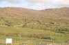 dsc_0237_small.jpg