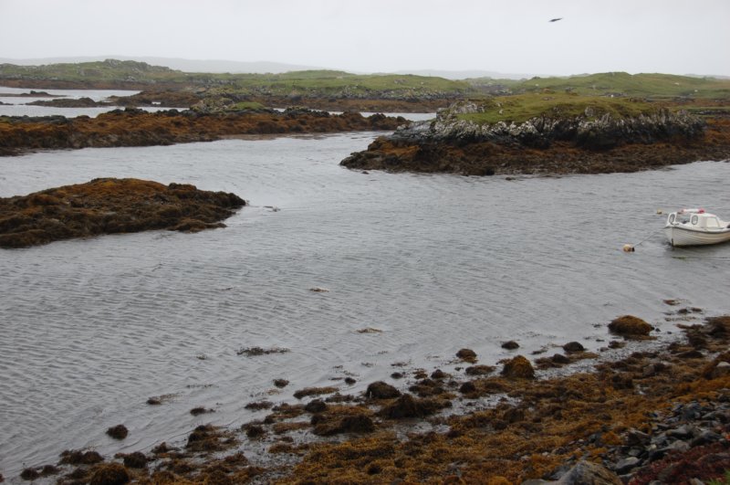 dsc_0005.jpg