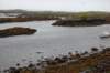 dsc_0005_small.jpg