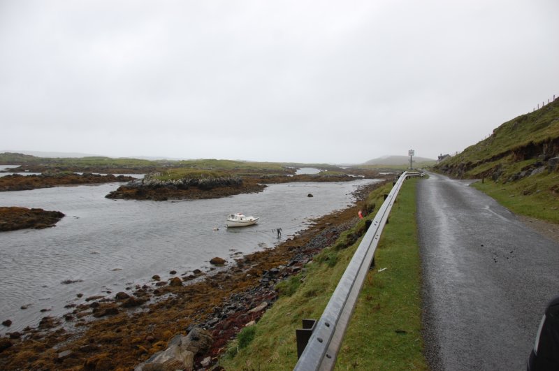 dsc_0006.jpg