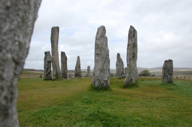 dsc_0046.jpg