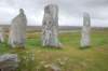 dsc_0061_small.jpg
