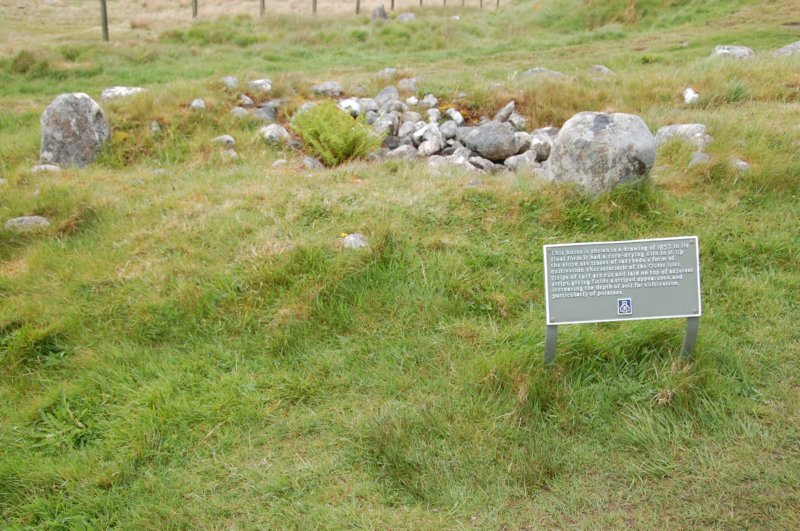 dsc_0064.jpg