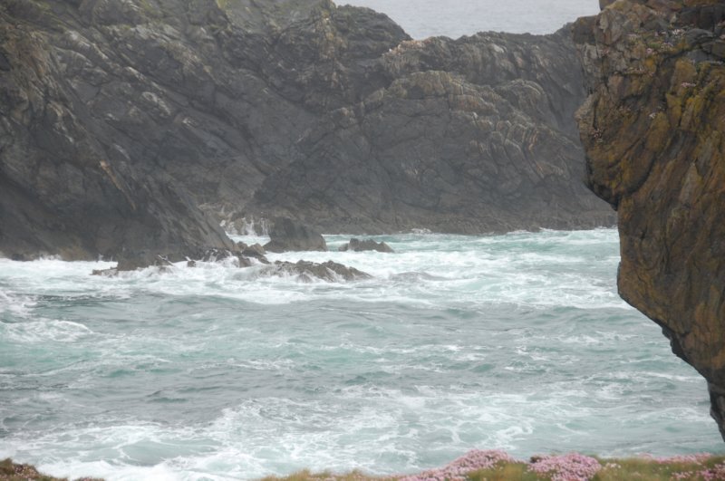 dsc_0136.jpg