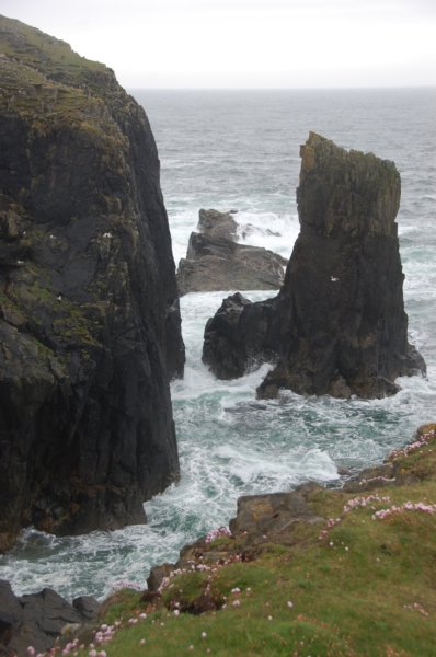 dsc_0141.jpg