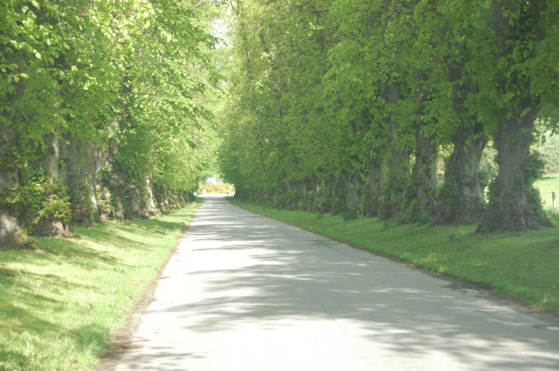 dsc_0009.jpg