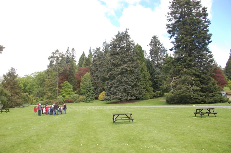 dsc_0012.jpg