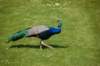 dsc_0017_small.jpg