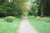 dsc_0020_small.jpg